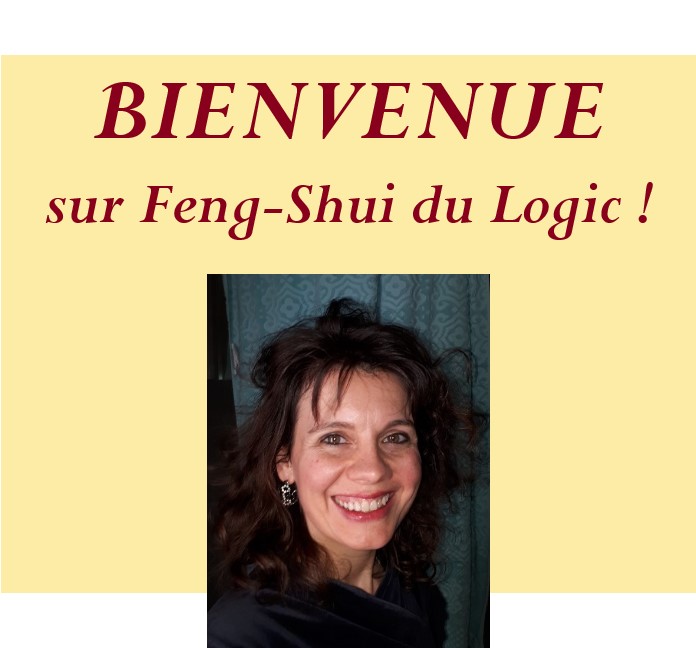 Feng-Shui du Logic